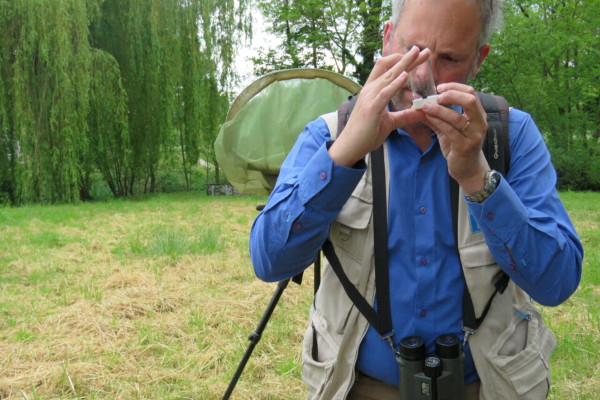 Marc Duvilla identifie une abeille © LV